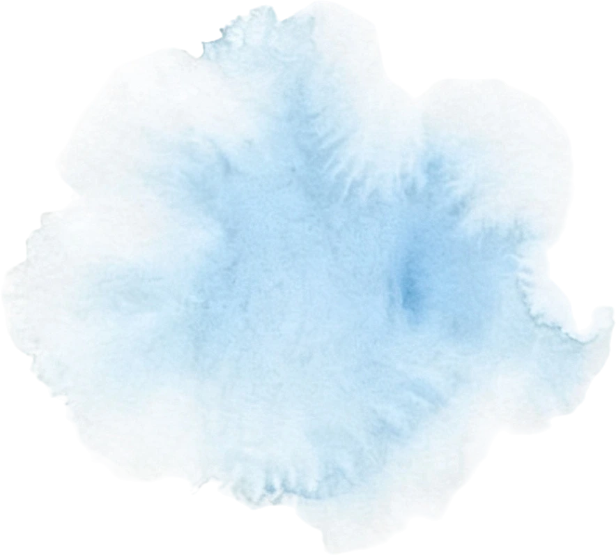 La-source-phytoépuration-2