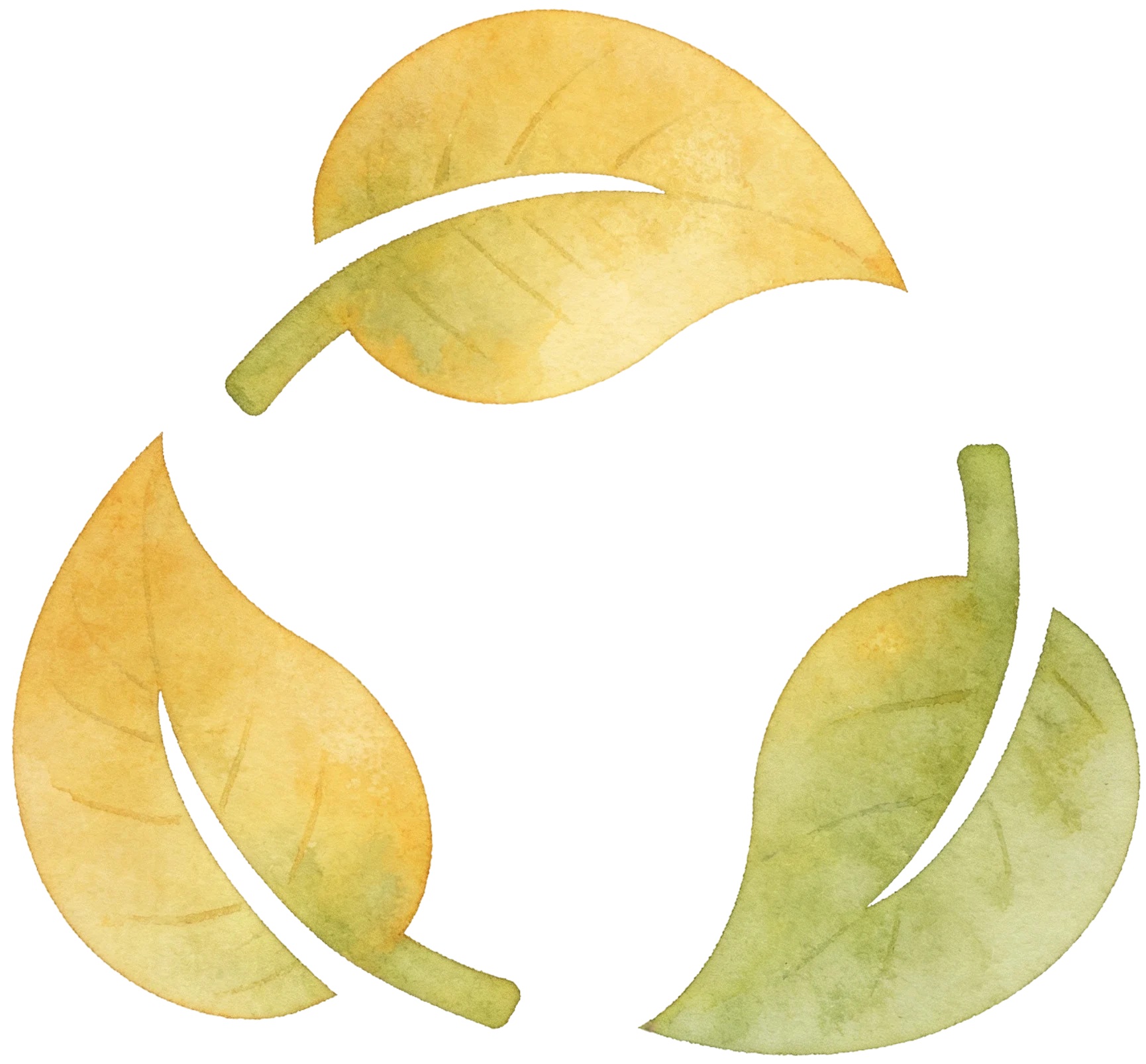 La-source-phytoepuration-dordogne-26-e1778577458552