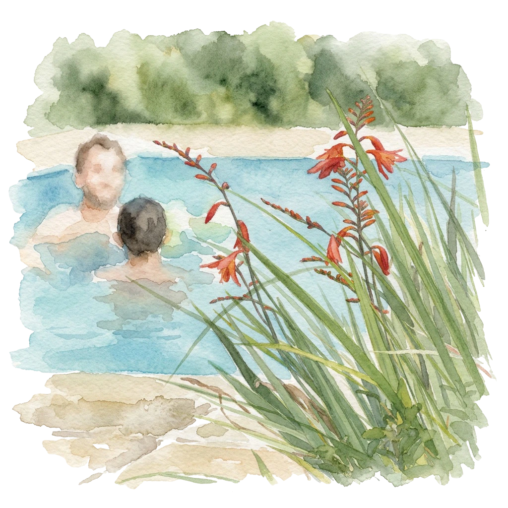 La-source-piscine-naturelle-dordogne Piscine naturelle paysagère avec filtration par les plantes sans produits chimiques