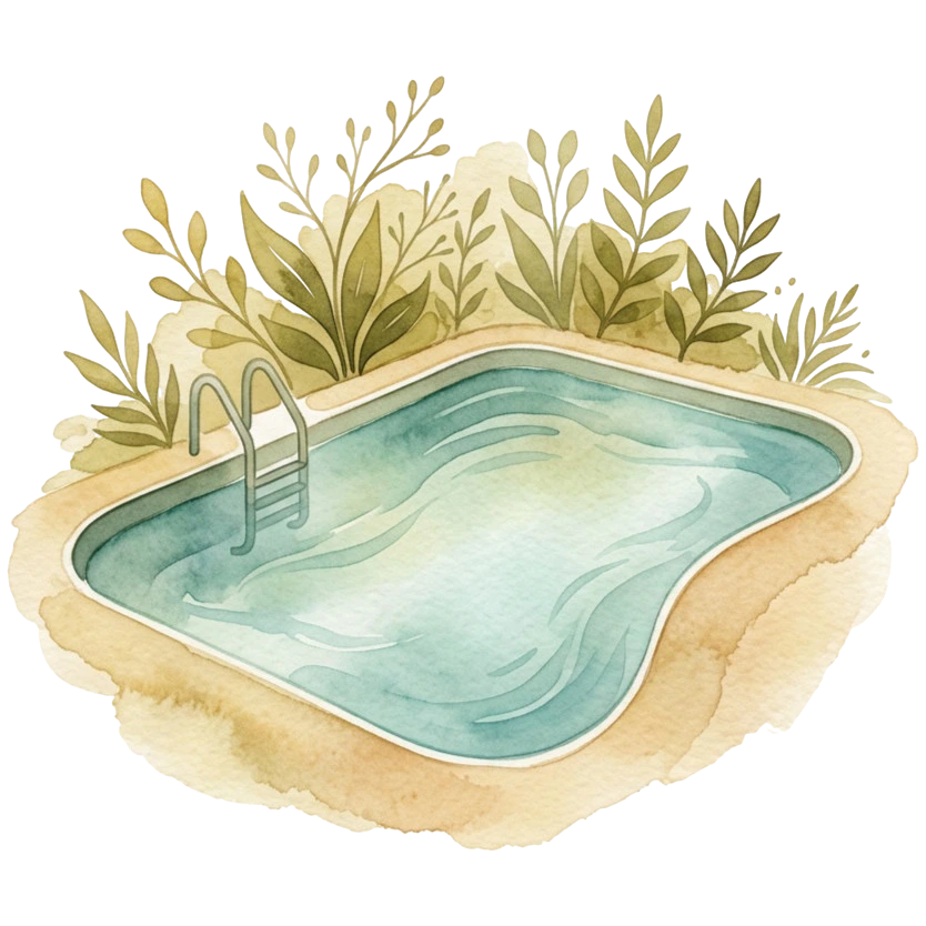 Piscine naturelle 2